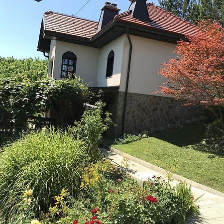 Wine & Nature & Tour Zgornji Leskovec Екстериор снимка