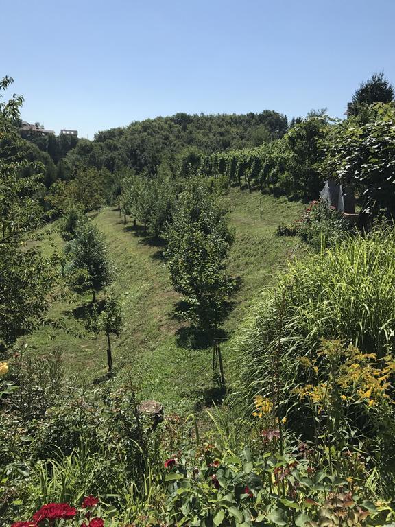 Wine & Nature & Tour Zgornji Leskovec Екстериор снимка