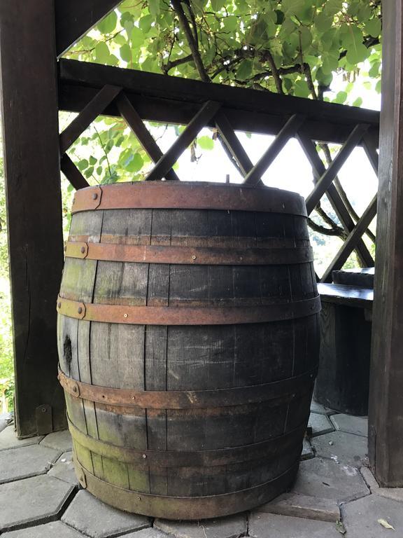 Wine & Nature & Tour Zgornji Leskovec Екстериор снимка