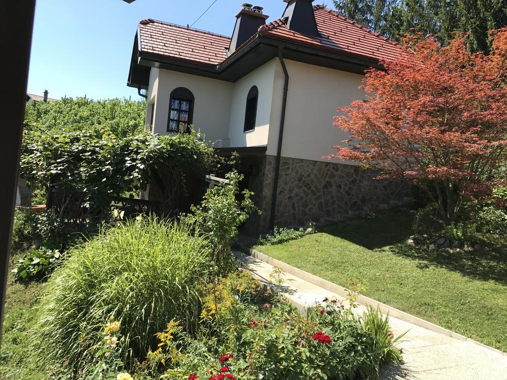 Wine & Nature & Tour Zgornji Leskovec Екстериор снимка